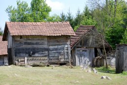 DSC2 (128).jpg